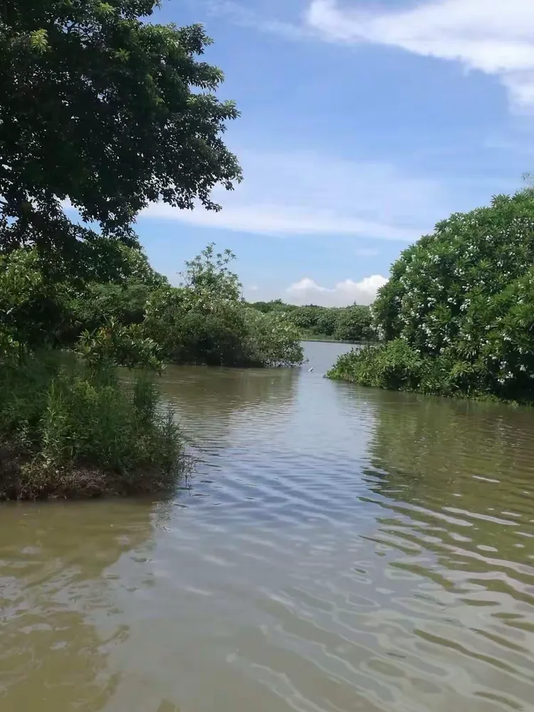 南沙湿地路亚(路亚竿100元以内良心竿)