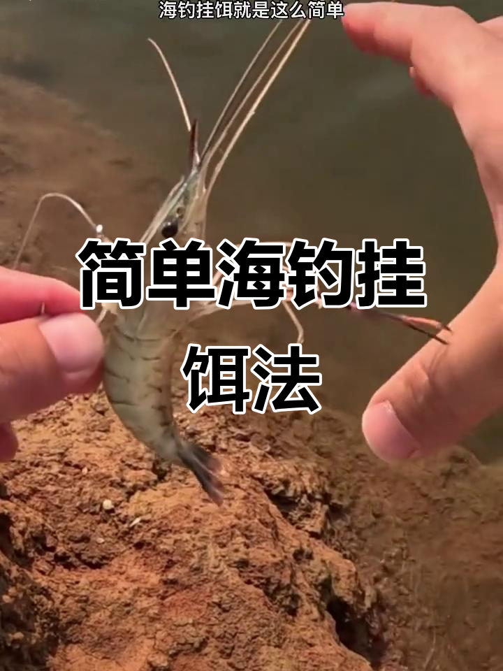 海钓挂饵大全(钓海鱼鱼饵怎么挂钩图解)