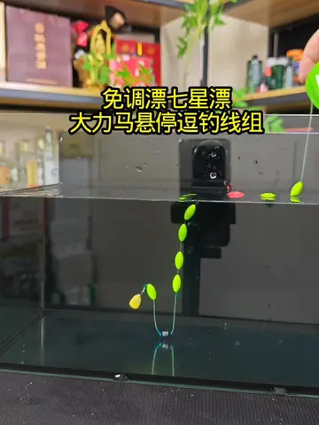 逗钓技巧视频(逗钓技巧视频教学) 逗钓技巧视频(逗钓技巧视频教学)