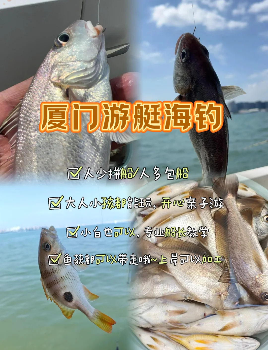 海钓什么季节多河豚(海钓鱼什么时候钓最好) 海钓什么季节多河豚(海钓鱼什么时候钓最好)