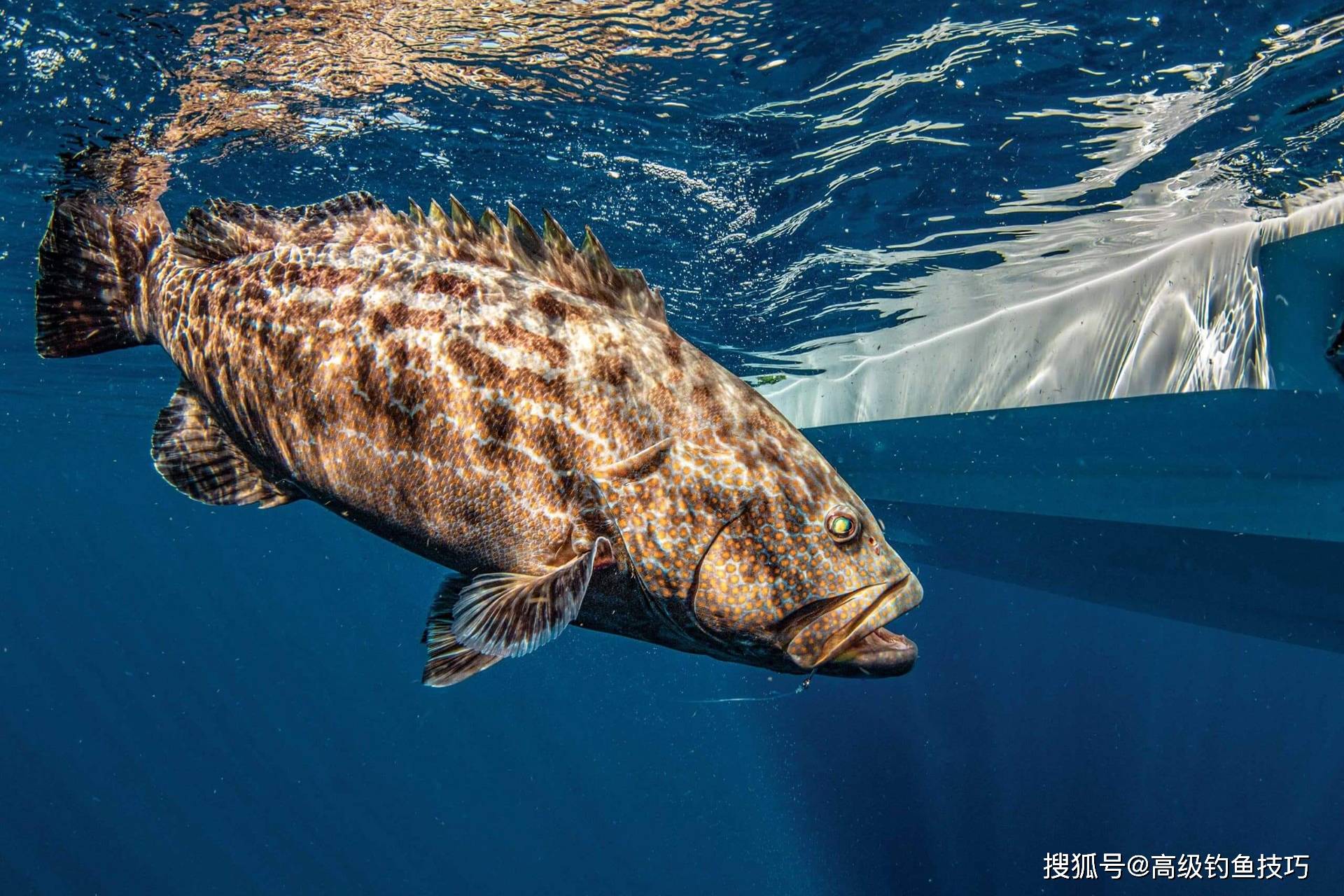 海钓时水流大好钓鱼吗(海钓时水流大好钓鱼吗为什么) 海钓时水流大好钓鱼吗(海钓时水流大好钓鱼吗为什么)