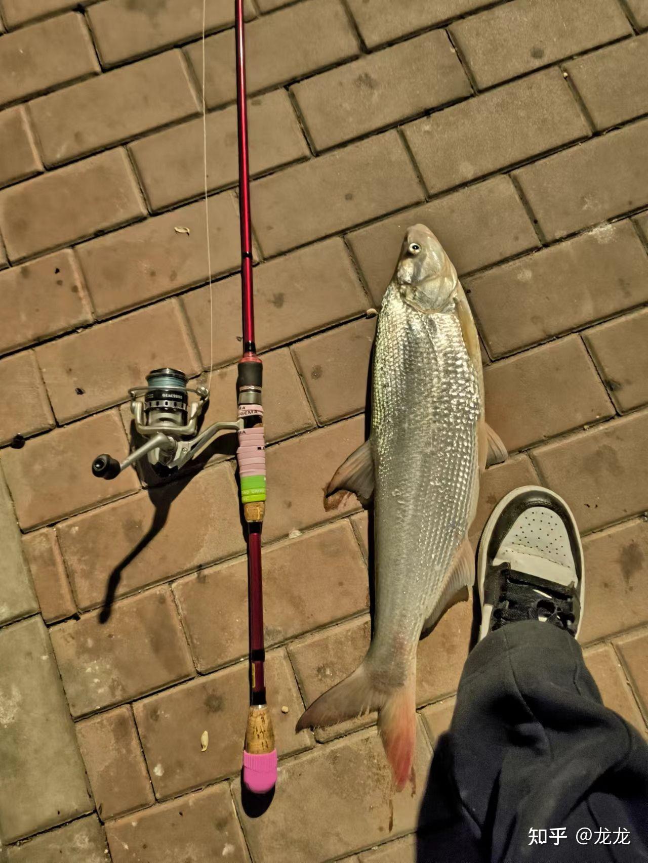 龙河路亚(中国路亚十大品牌)