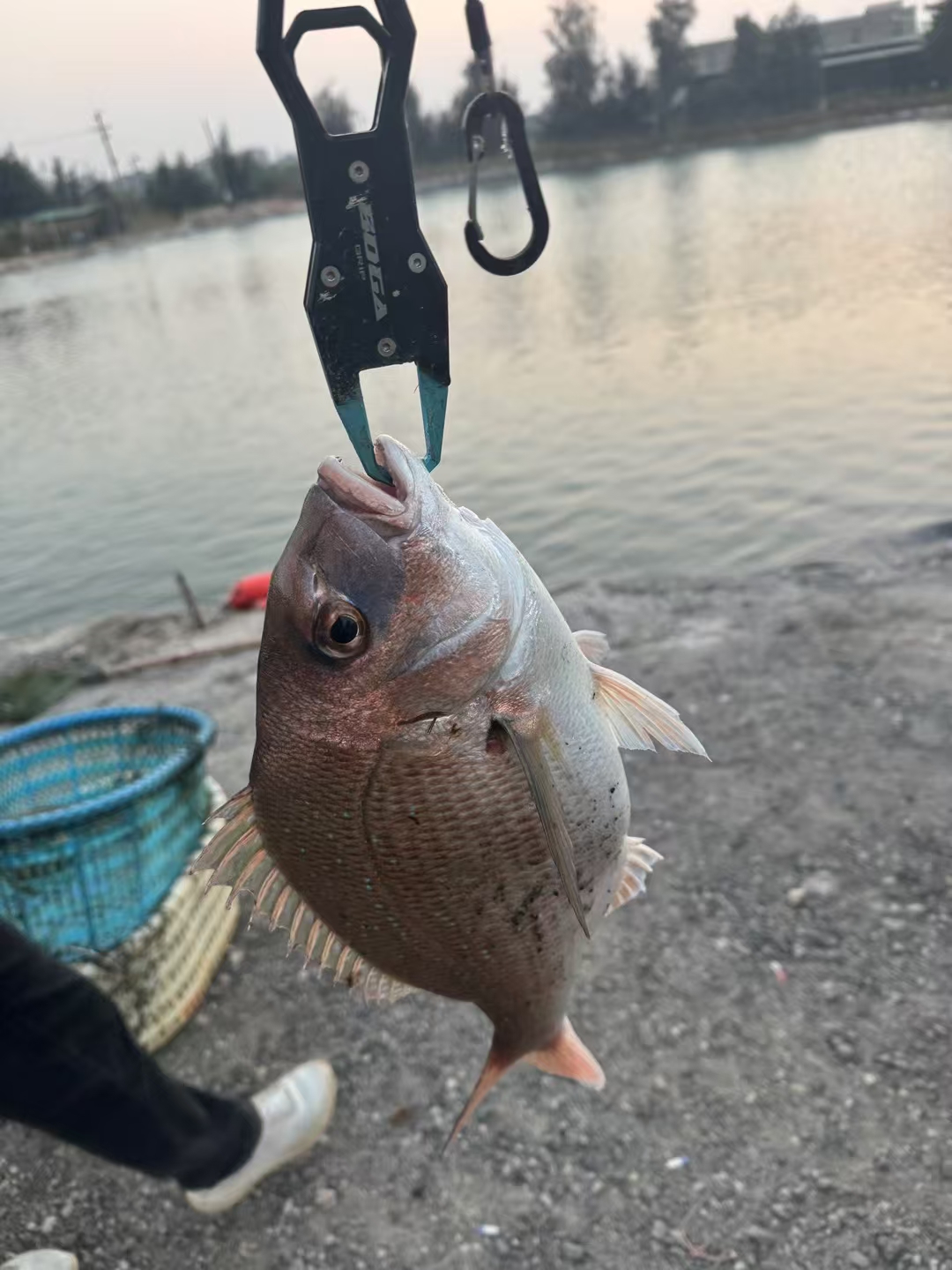 海钓小潮好钓鱼吗(海钓小潮好钓鱼吗图片)