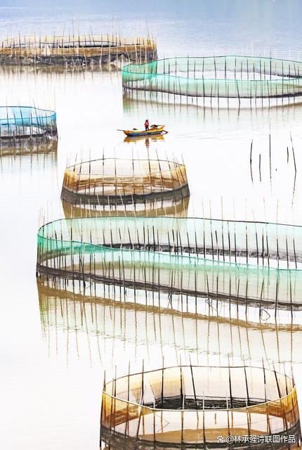 福建霞浦海钓比赛(福建霞浦海钓视频大全集)