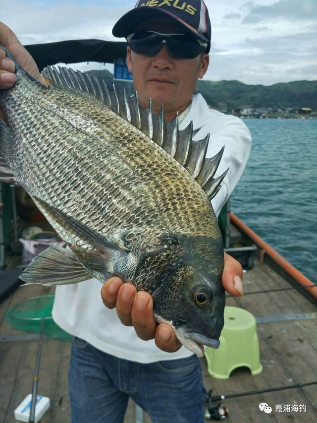 福建霞浦海钓比赛(福建霞浦海钓视频大全集)