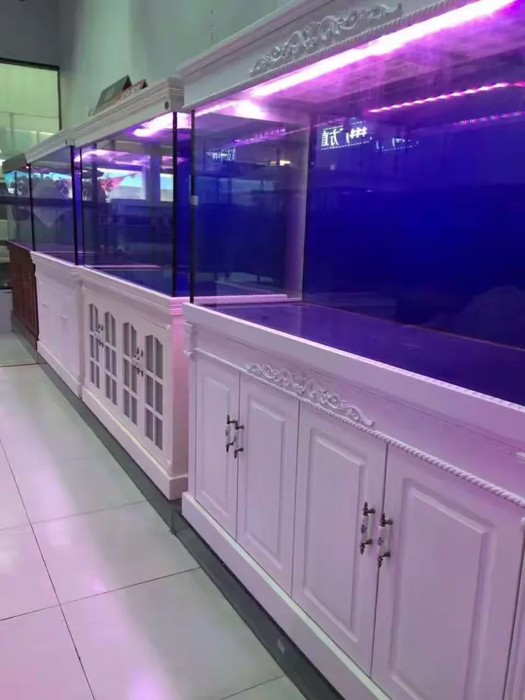 美晨渔具(美晨佳钓尼是正品吗) 美晨渔具(美晨佳钓尼是正品吗)