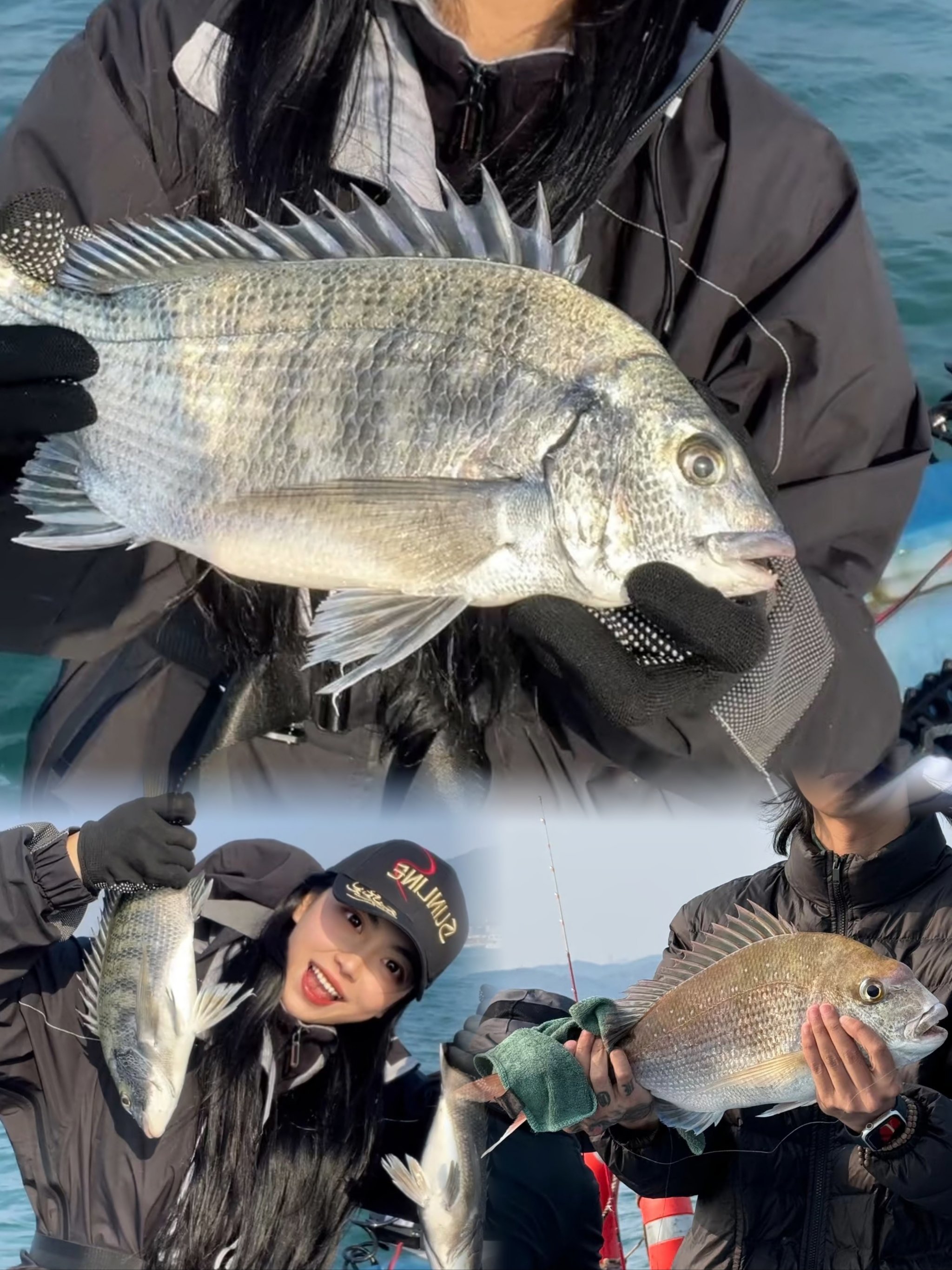 海钓乌头鱼视频大全(海钓乌头鱼视频大全播放) 海钓乌头鱼视频大全(海钓乌头鱼视频大全播放)