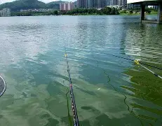 长江抛杆钓鱼技巧(长江抛竿钓什么鱼合适)