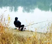 长江冬季钓鲫鱼技巧(长江钓鲫鱼用什么饵料好) 长江冬季钓鲫鱼技巧(长江钓鲫鱼用什么饵料好)