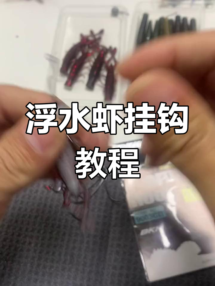 钓颅骨虾技巧(罗氏虾钓虾技巧) 钓颅骨虾技巧(罗氏虾钓虾技巧)