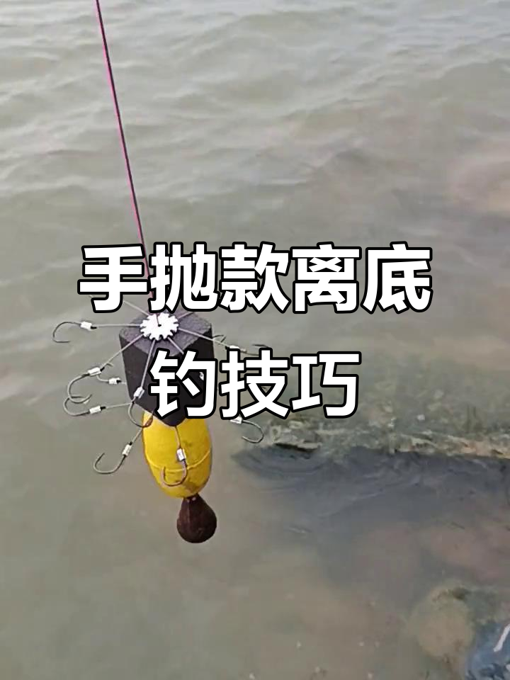海钓是沉底还是浮钓(海钓爱好者钓浮还是钓底)