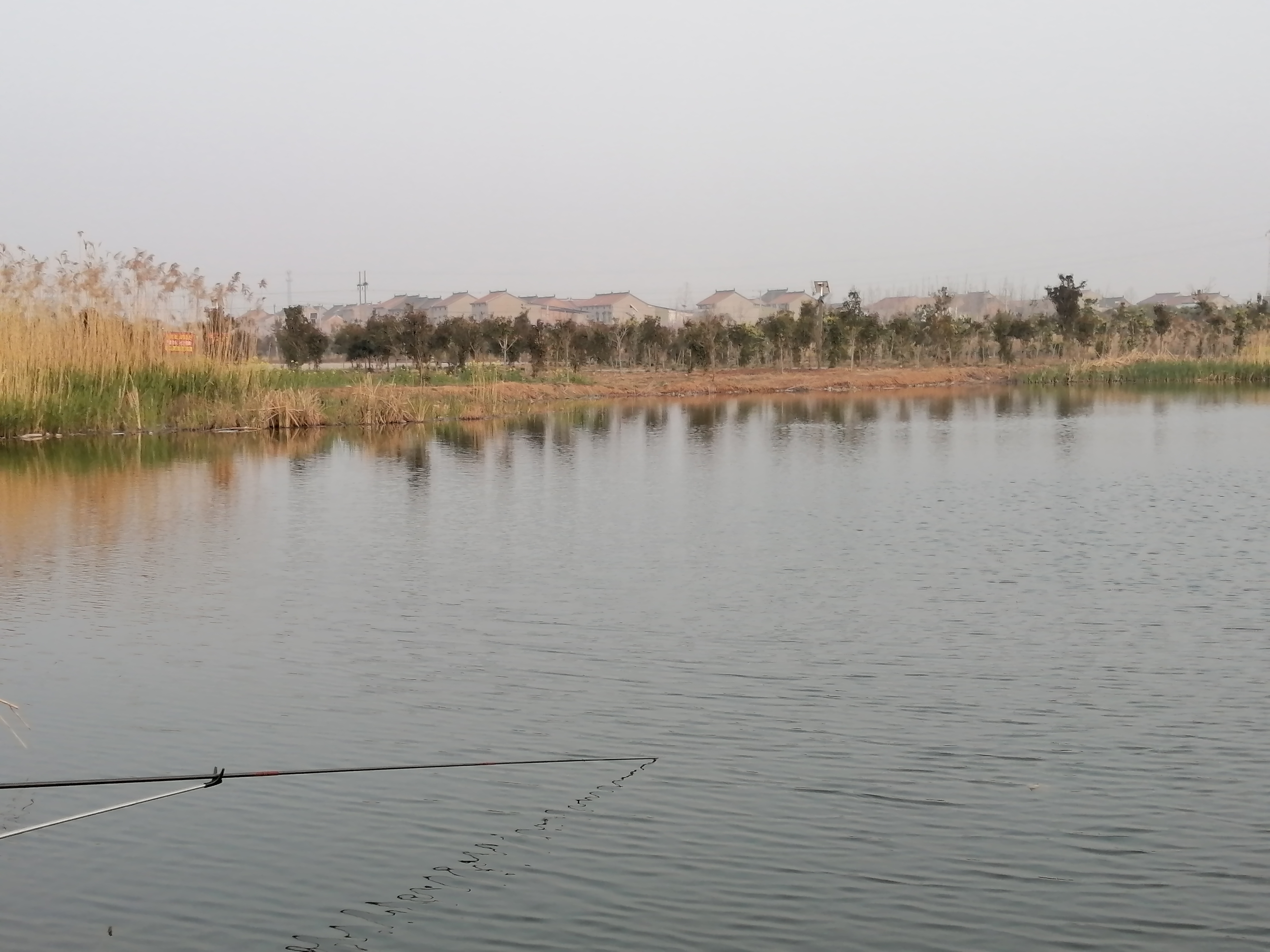 南充路亚水库(南充路亚水库最新消息)