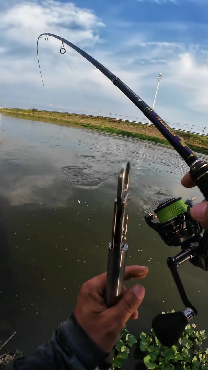 龚磊路亚钓鱼视频(中国路亚钓手龚磊简介) 龚磊路亚钓鱼视频(中国路亚钓手龚磊简介)