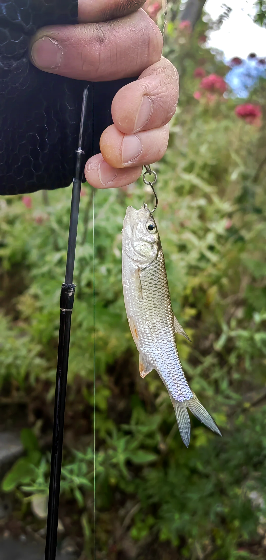 瑶湖路亚(安徽哪里路亚资源好)