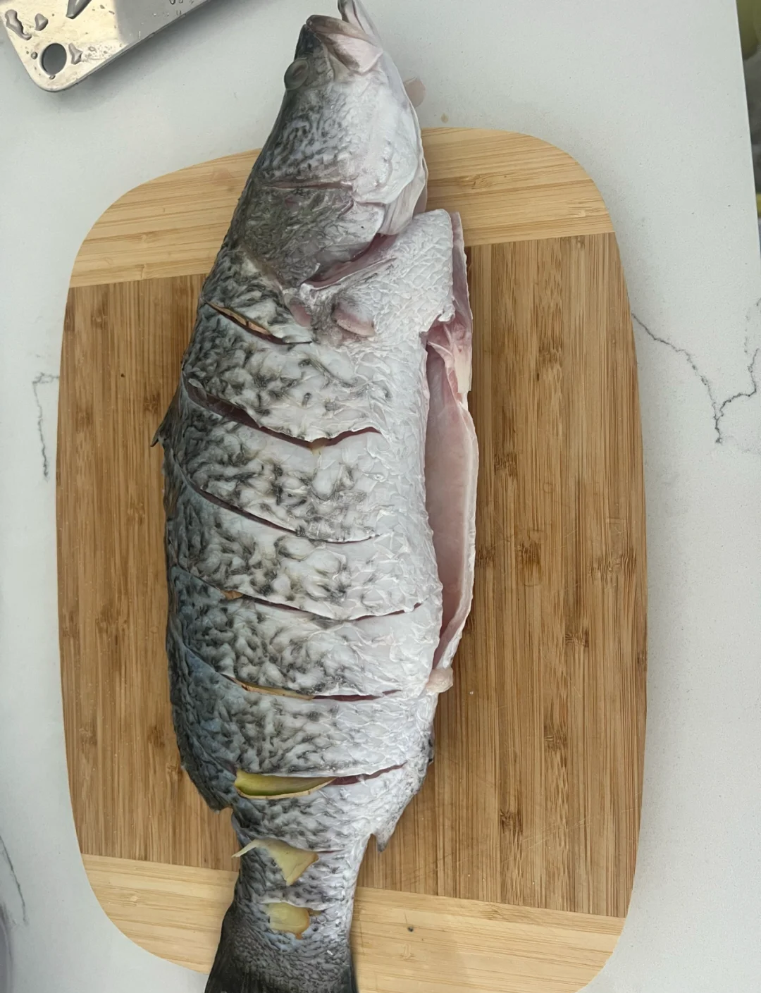 海钓盲曹(盲钓技巧视频)