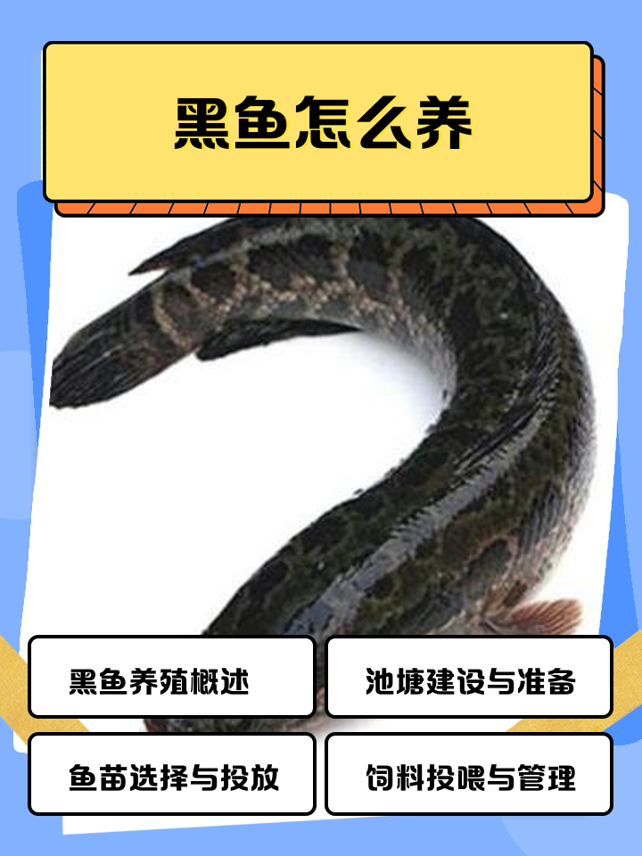 软虫路亚黑鱼教学(软虫路亚黑鱼的技巧)