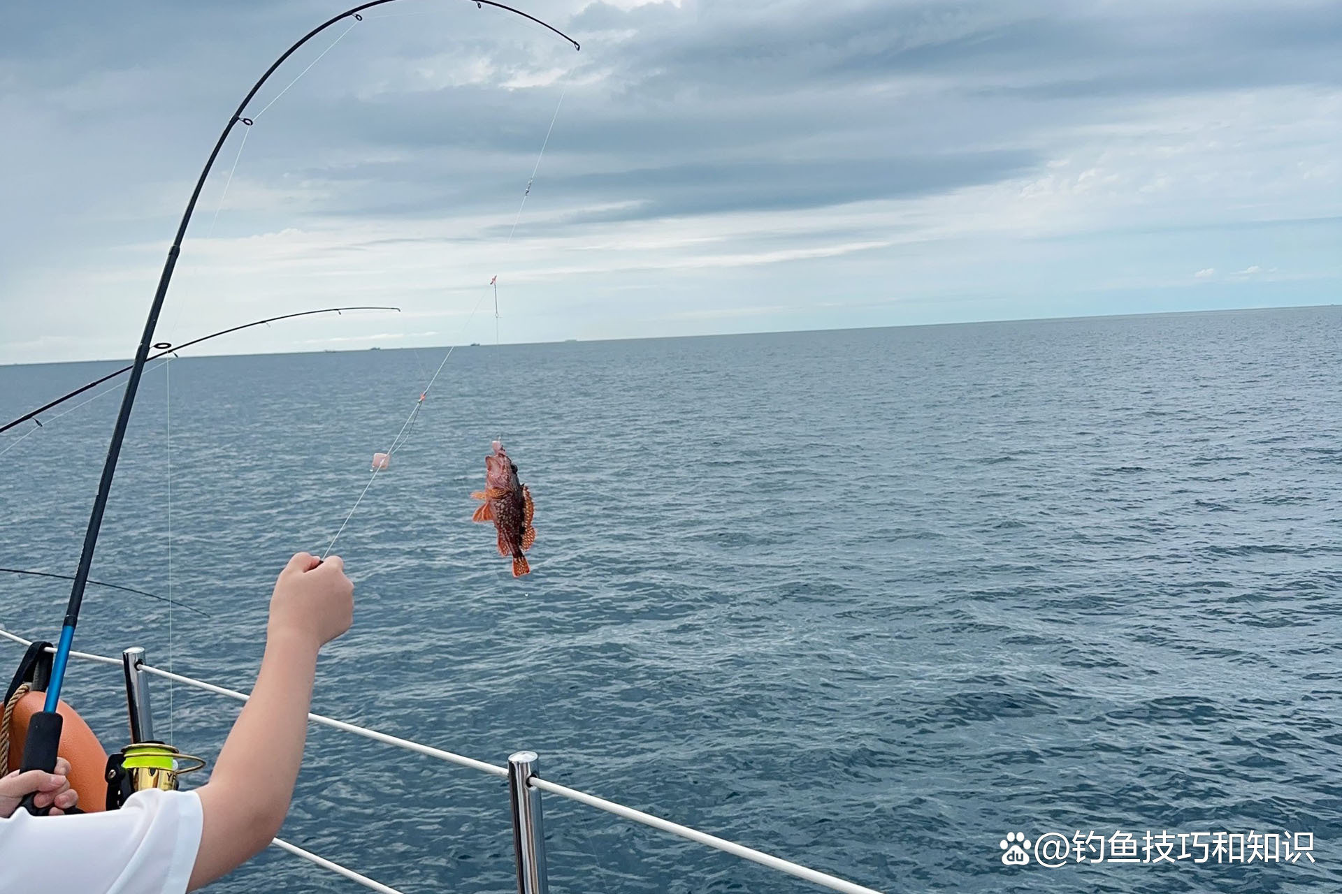 海钓钓法视频(海钓钓法视频大全)