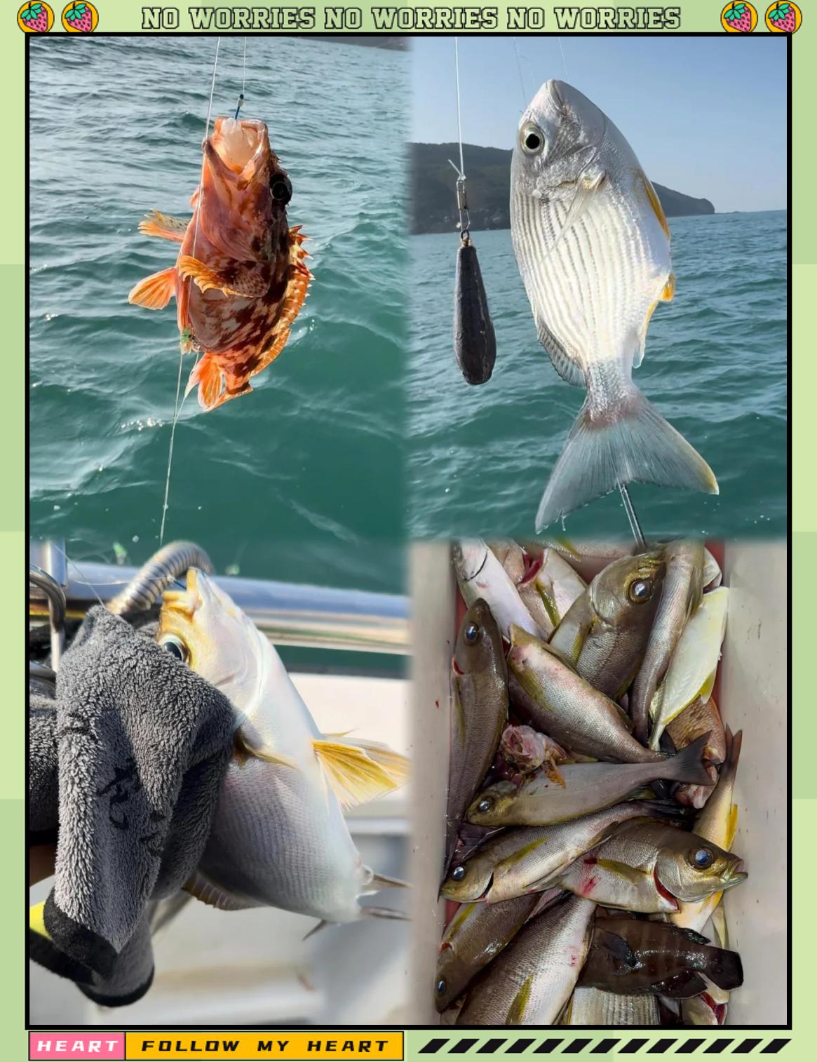 珠海出海钓鱼攻略(珠海出海钓鱼攻略大全)