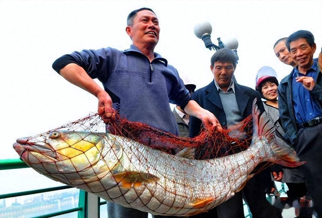 关于长江边钓鱼有哪些技巧的信息 关于长江边钓鱼有哪些技巧的信息