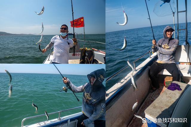 烟台冬天能海钓嘛(烟台冬天有什么新鲜海鱼)