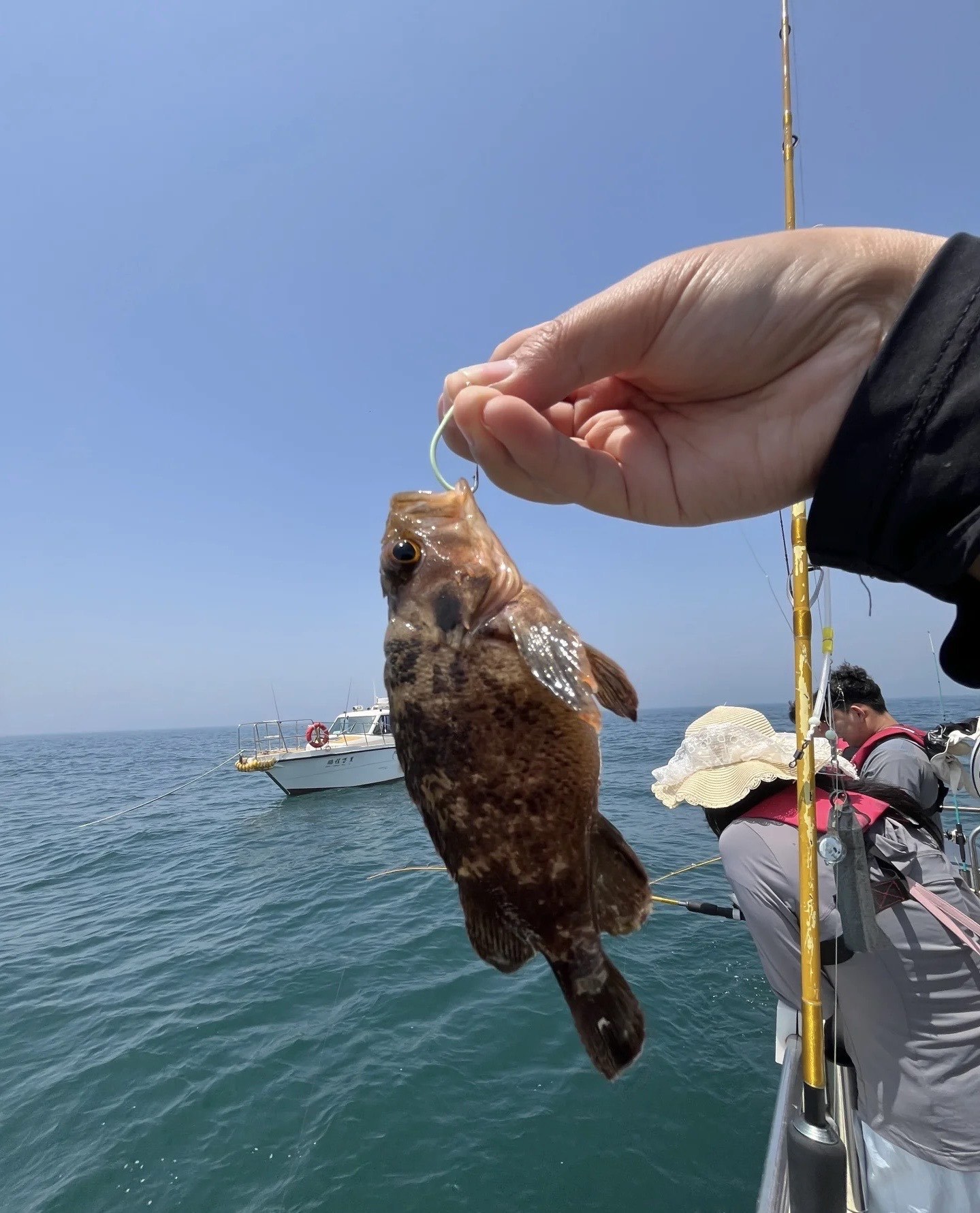 海钓小鱼抢食(钓大鱼小鱼抢食咋办)