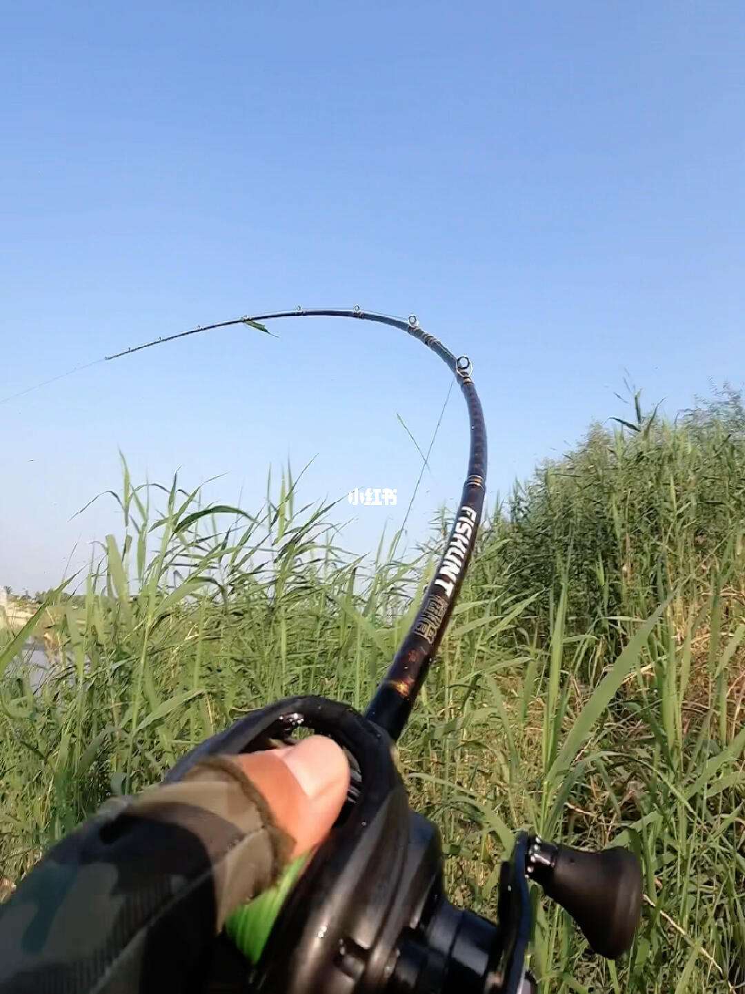 路亚刺鱼技巧(路亚鲈鱼刺鱼技巧)