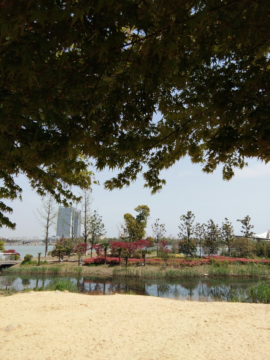 张家港沙洲湖路亚(张家港沙洲湖钓鱼怎么样) 张家港沙洲湖路亚(张家港沙洲湖钓鱼怎么样)