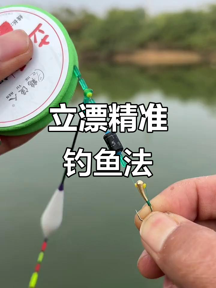 看鱼漂的技巧(钓鱼如何看鱼漂视频) 看鱼漂的技巧(钓鱼如何看鱼漂视频)