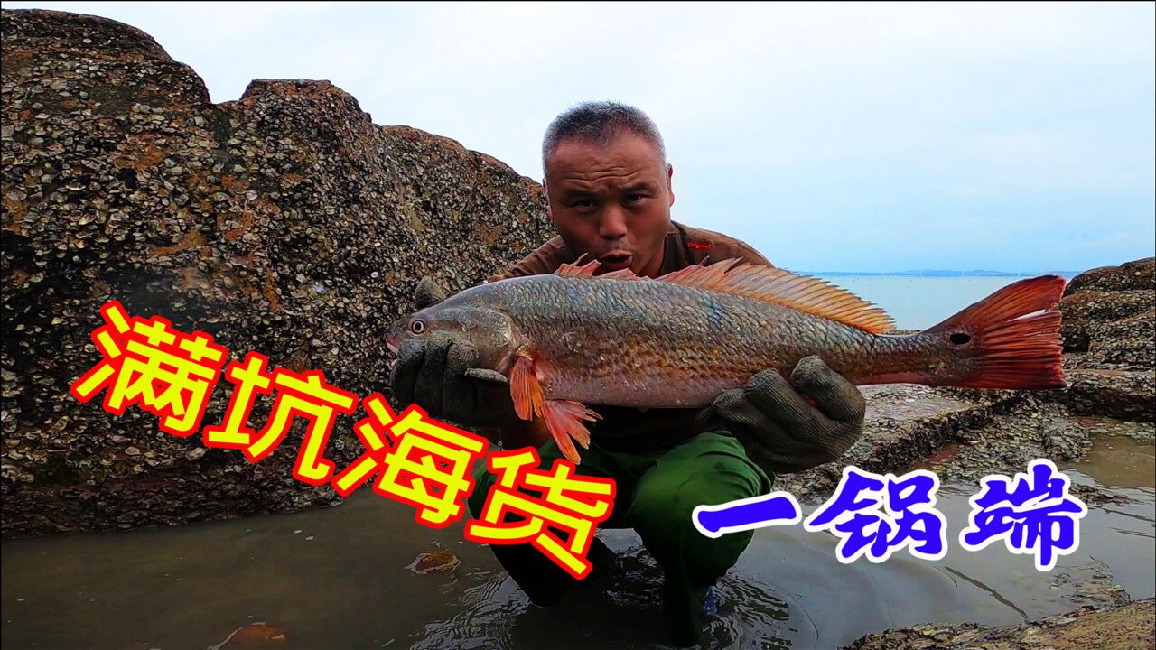 雄哥饵料视频(口碑最好的饵料排行)