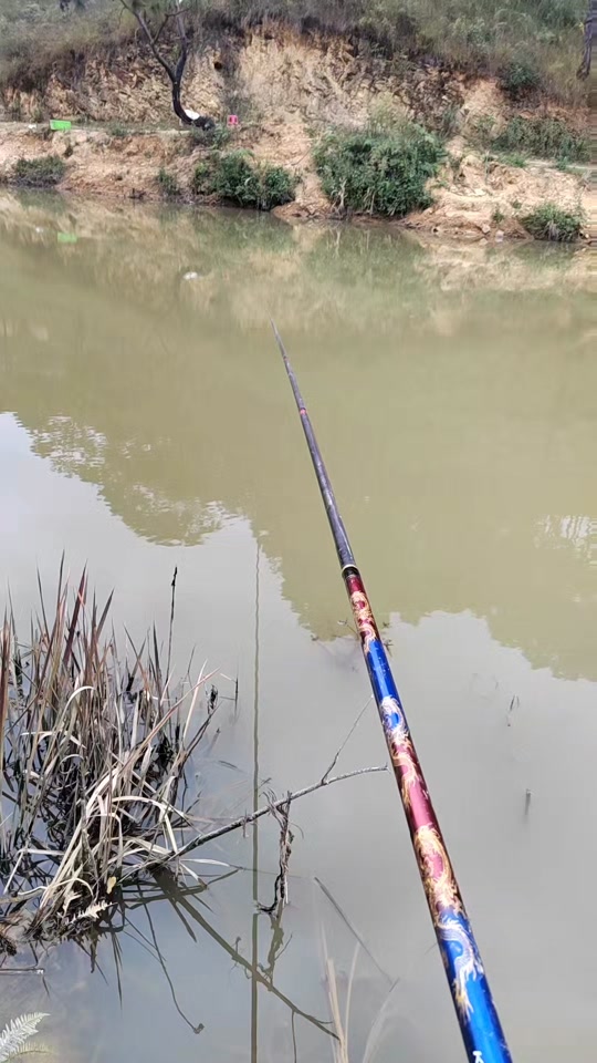 兴化野河路亚技巧(兴化哪里野钓鱼比较好) 兴化野河路亚技巧(兴化哪里野钓鱼比较好)