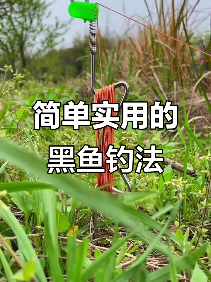 抓黑鱼技巧视频教程(抓黑鱼技巧视频教程全集) 抓黑鱼技巧视频教程(抓黑鱼技巧视频教程全集)