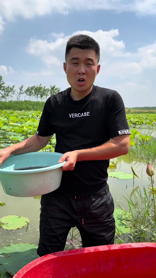 抓黑鱼技巧视频教程(抓黑鱼技巧视频教程全集) 抓黑鱼技巧视频教程(抓黑鱼技巧视频教程全集)