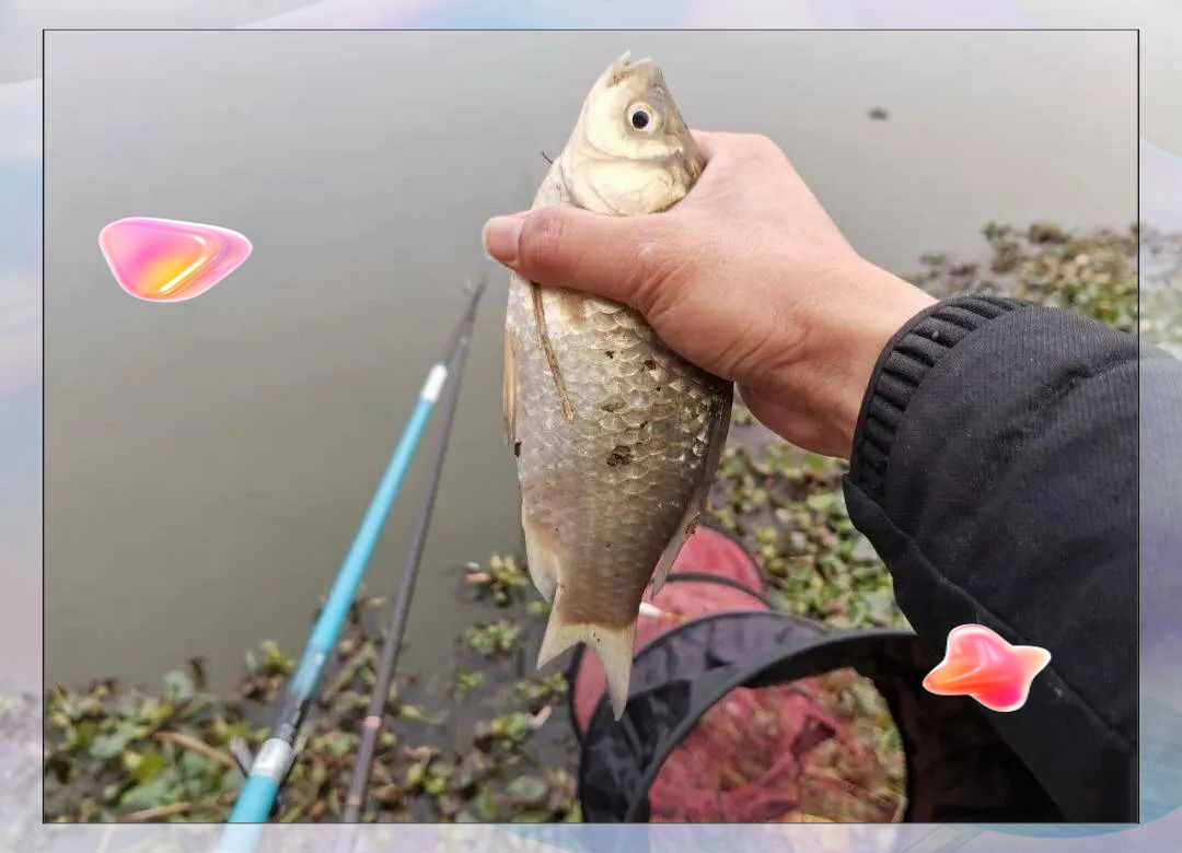 冬钓钓鱼技巧视频(冬钓钓鱼技巧视频大全) 冬钓钓鱼技巧视频(冬钓钓鱼技巧视频大全)