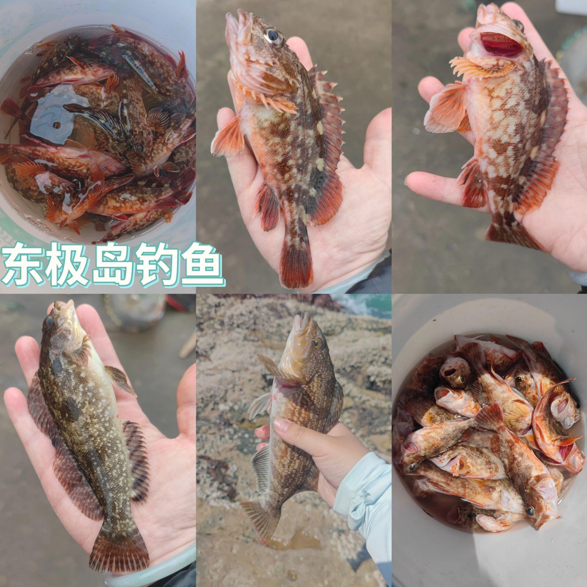 海钓排口(海钓鱼排线组图解) 海钓排口(海钓鱼排线组图解)