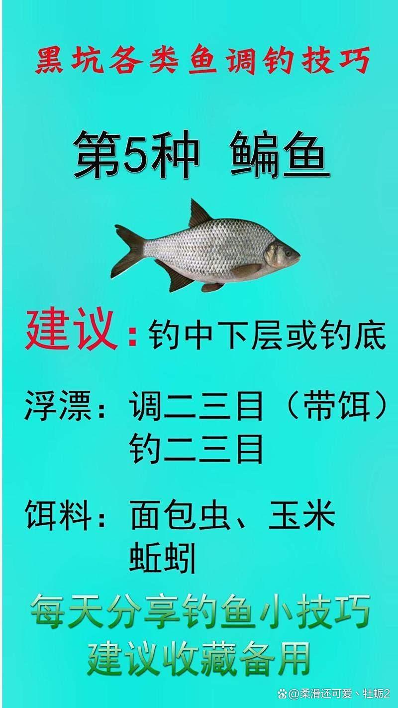 钓黑坑技巧(钓黑坑怎么钓) 钓黑坑技巧(钓黑坑怎么钓)