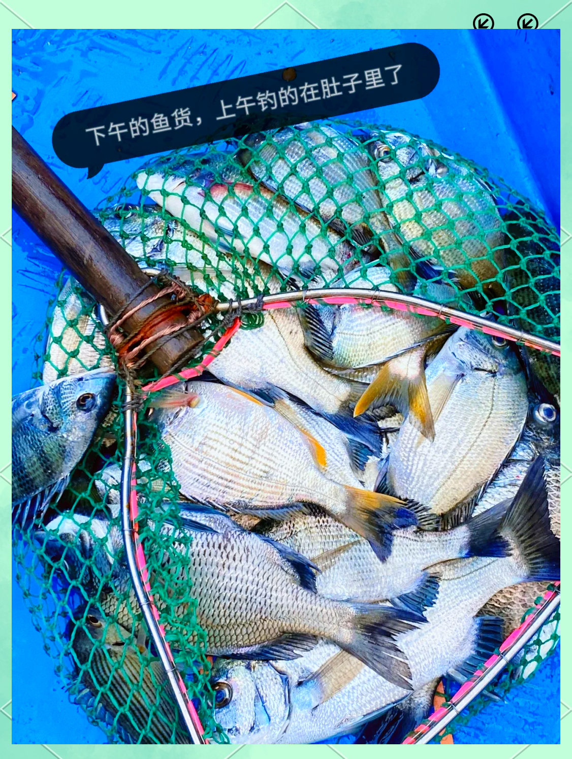 惠州海钓攻略(惠州海钓可以钓获什么鱼)