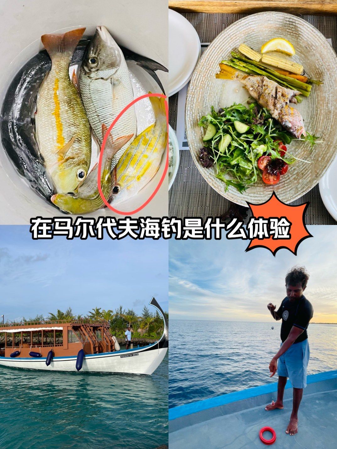 马尔代夫可以海钓吗(马尔代夫钓鱼可以自带渔具吗?)