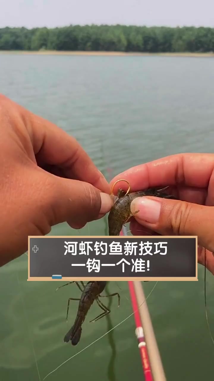 无刺钩子钓鱼技巧(无刺钩钓鱼怎么才不跑鱼) 无刺钩子钓鱼技巧(无刺钩钓鱼怎么才不跑鱼)