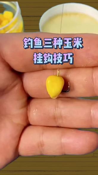 北方嫩玉米野钓技巧(北方嫩玉米野钓技巧视频)