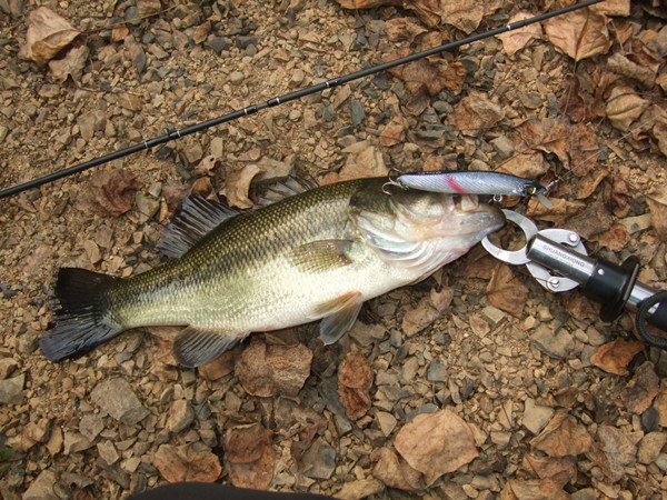 铜陵路亚收费(铜梁路亚基地怎么收费) 铜陵路亚收费(铜梁路亚基地怎么收费)