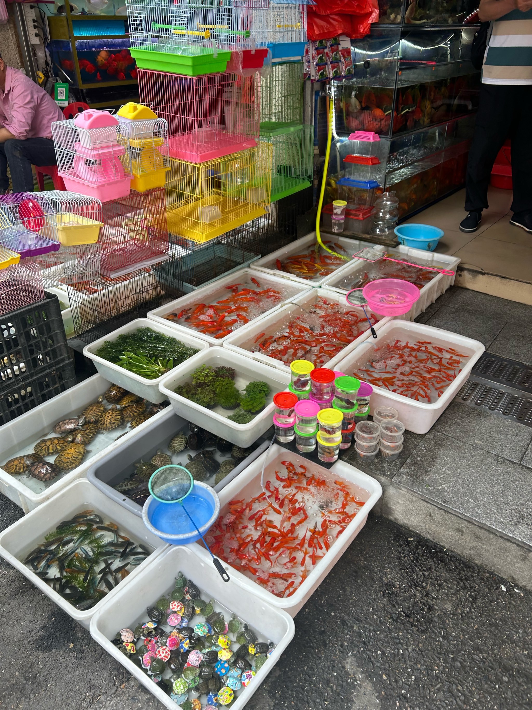 山东省渔具批发市场(山东省渔具批发市场有哪些) 山东省渔具批发市场(山东省渔具批发市场有哪些)