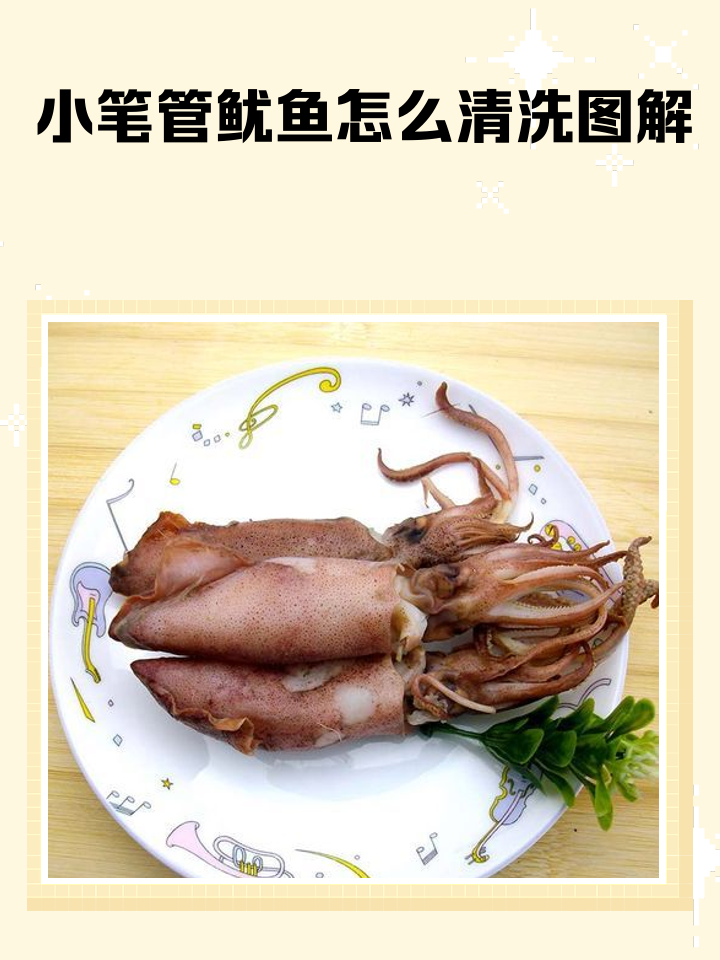 海钓鱿鱼怎样切(鱿鱼怎么切比较好看) 海钓鱿鱼怎样切(鱿鱼怎么切比较好看)