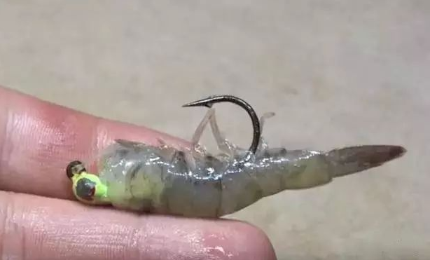 冬天活虾钓鱼技巧(冬天钓虾场可以钓吗)