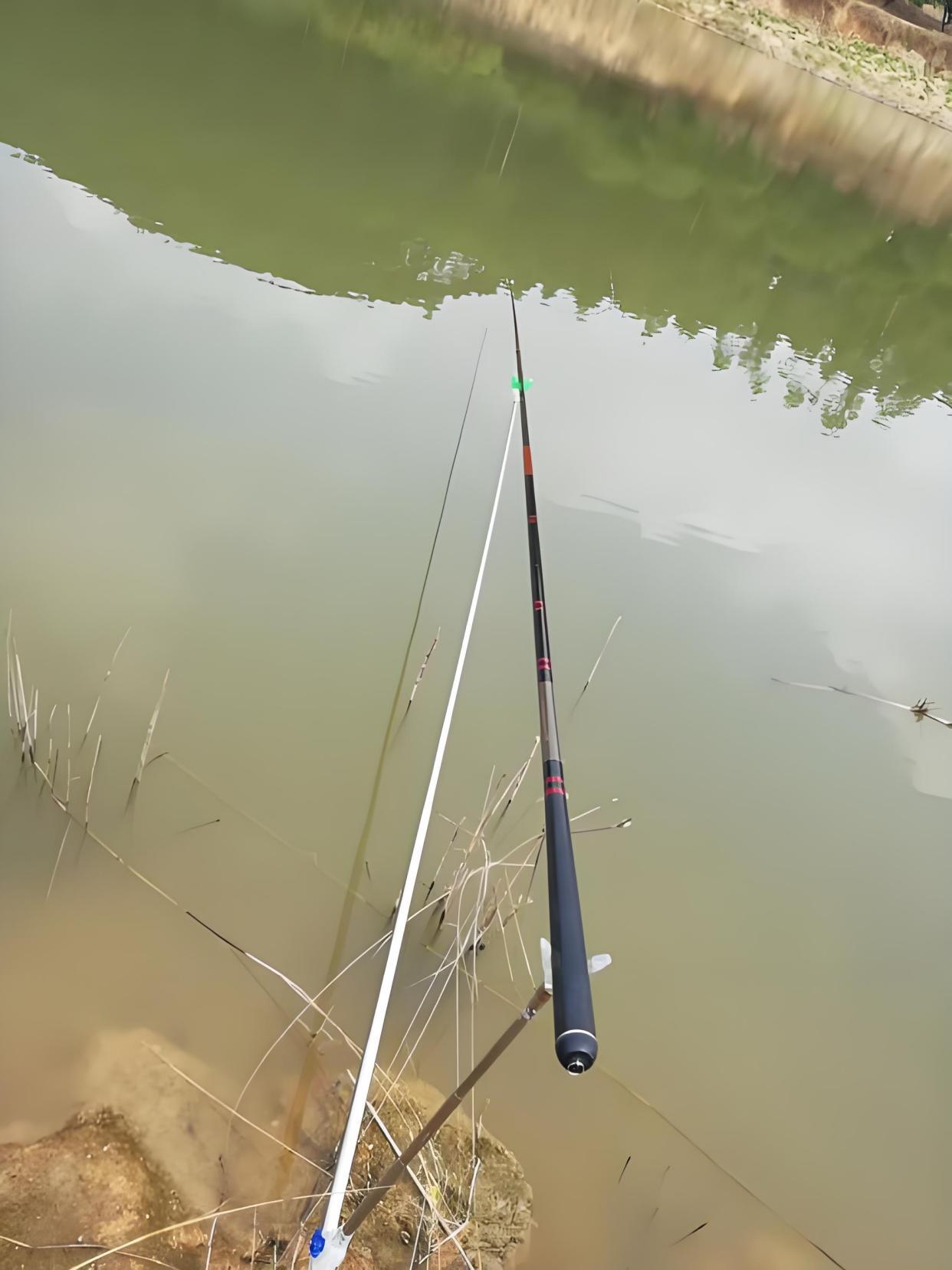 路亚钓草鱼效果(路亚钓草鱼的技巧和手法)