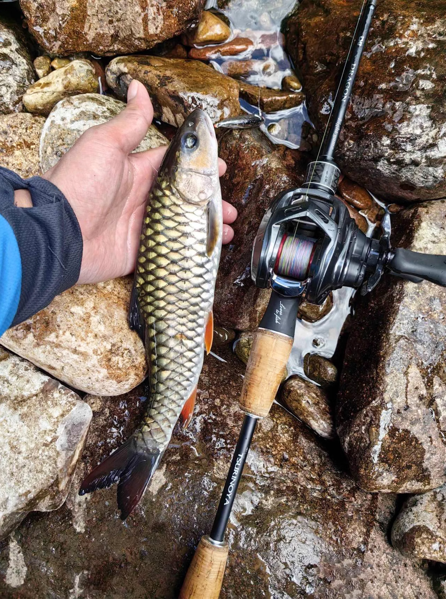 路亚天下(路亚之家官网)