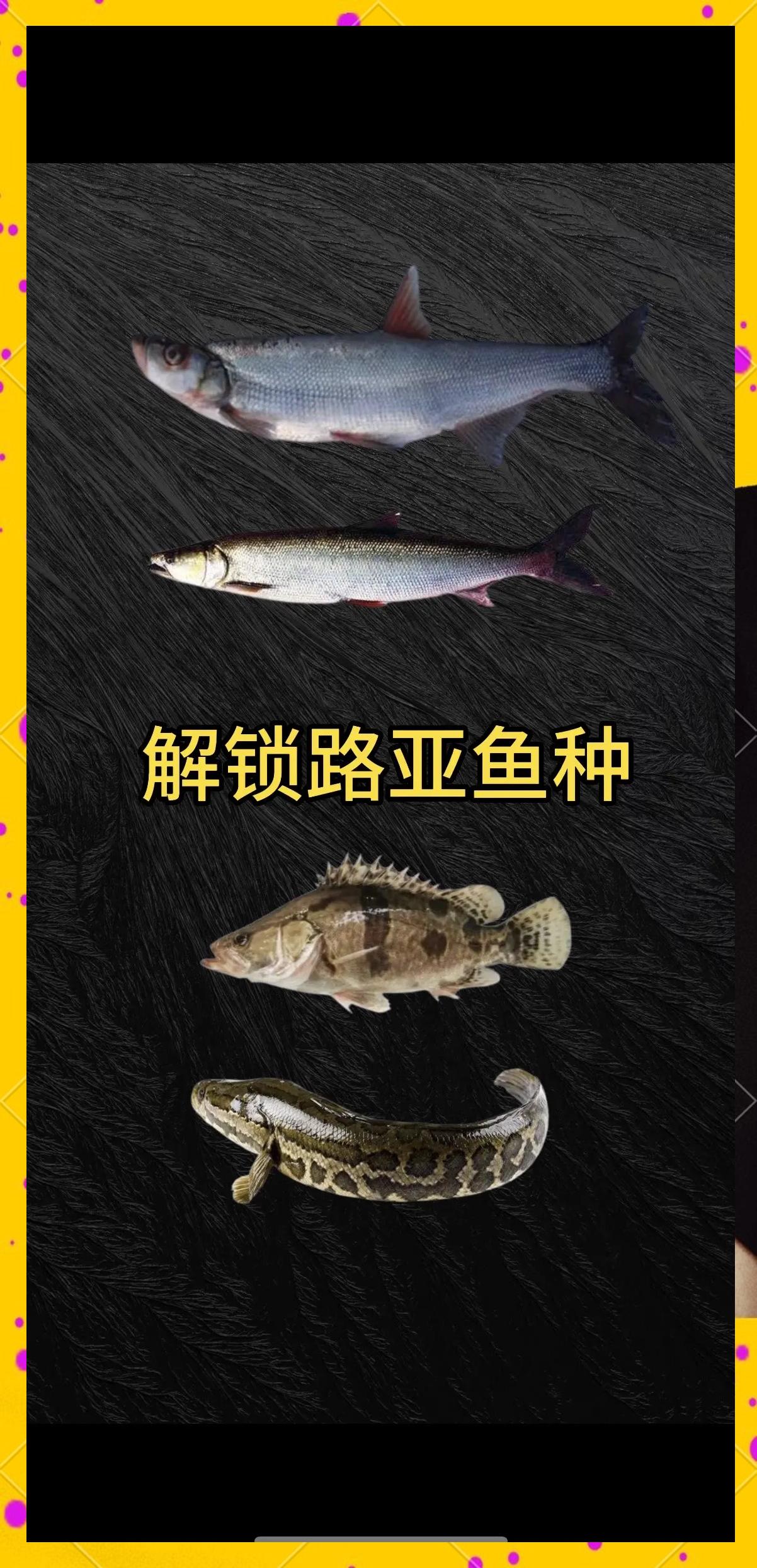 路亚底层鱼种(路亚钓底层鱼要等到何时收线吗?) 路亚底层鱼种(路亚钓底层鱼要等到何时收线吗?)