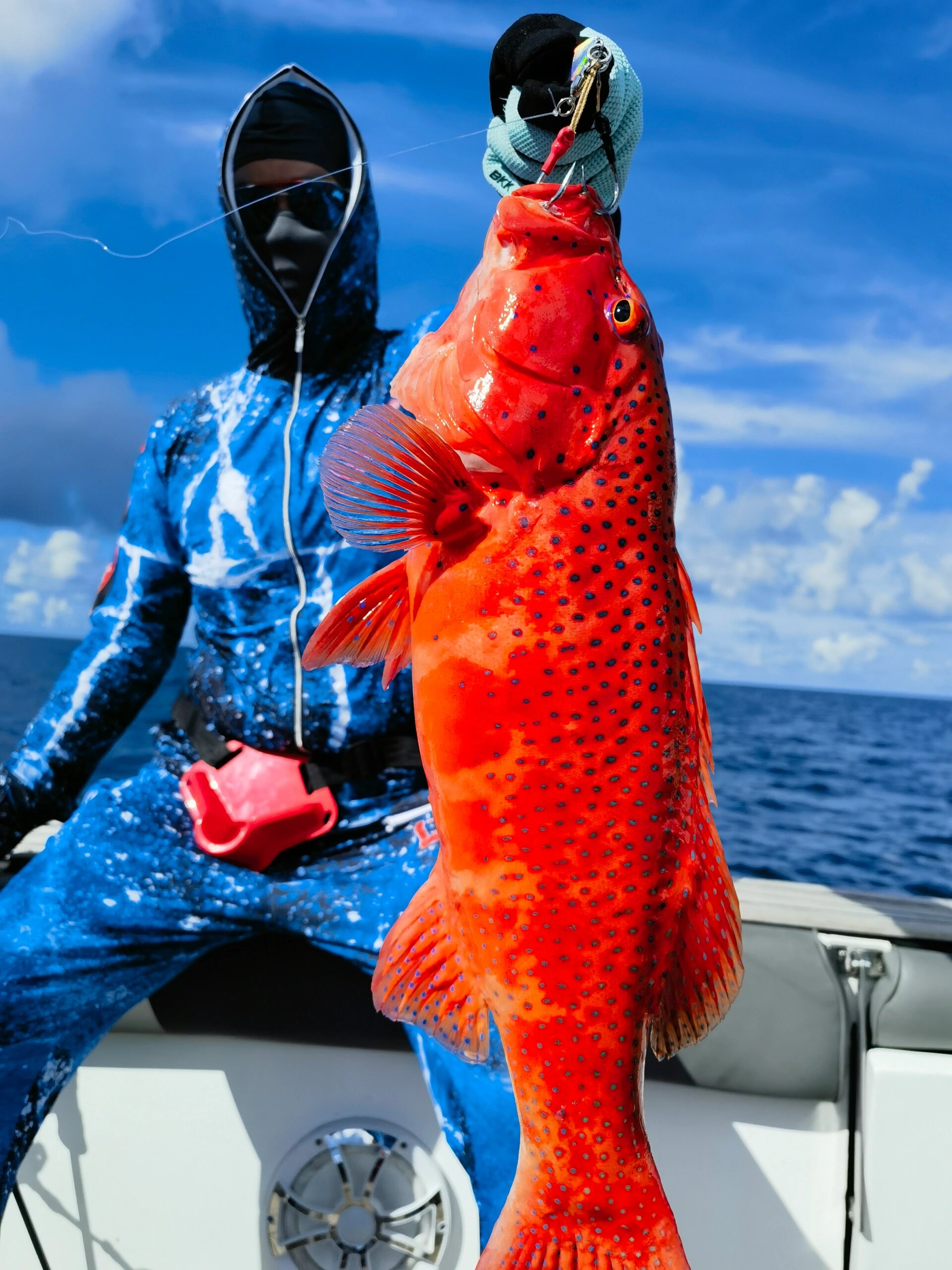 路亚海钓吗(路亚海鲋行吗)