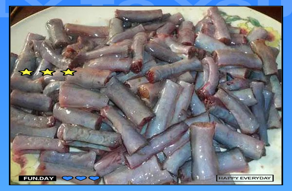 初春海钓虾虎鱼(初春海钓虾虎鱼图片)