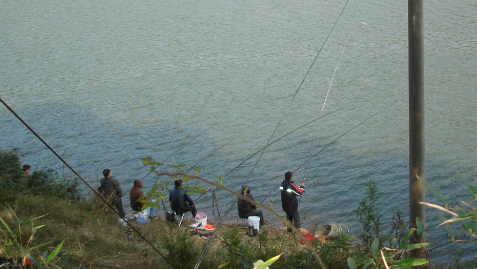 夏天水库晚上钓鱼技巧(夏天晚上水库怎么钓草鱼)