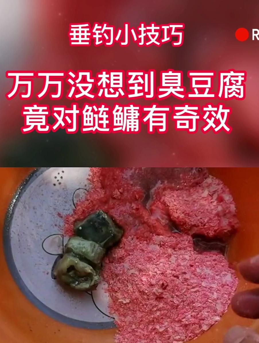鲢鳙饵料臭豆腐(鲢鳙饵料加臭豆腐) 鲢鳙饵料臭豆腐(鲢鳙饵料加臭豆腐)